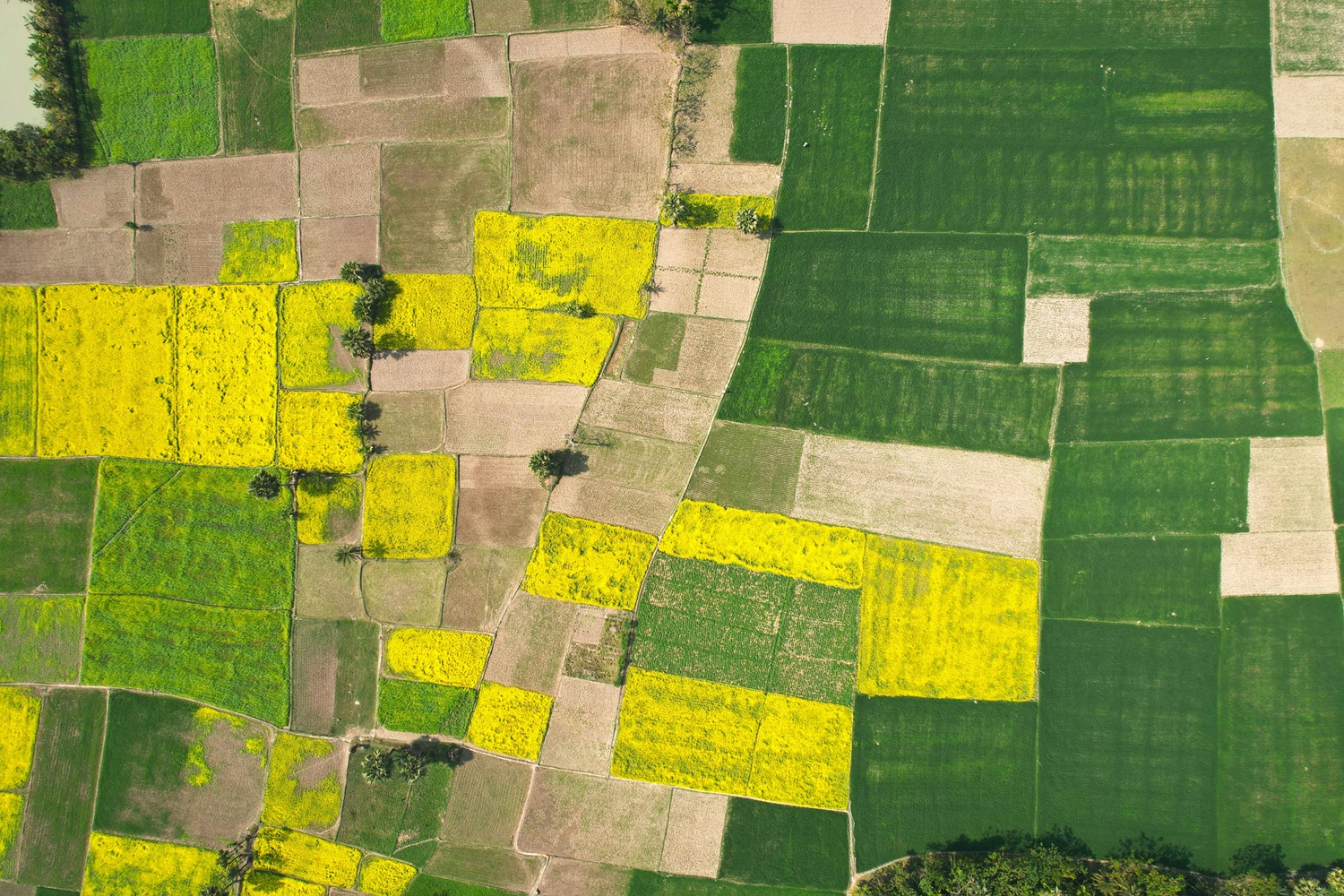 Aerial view of precision agriculture farmland mosaic
